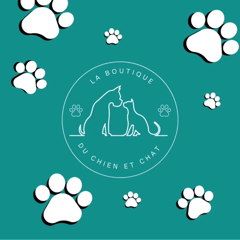 Site vitrine réalisé par l'agence SEO et digitale NINETY Digital pour le compte du site, la boutique du chien et du chat