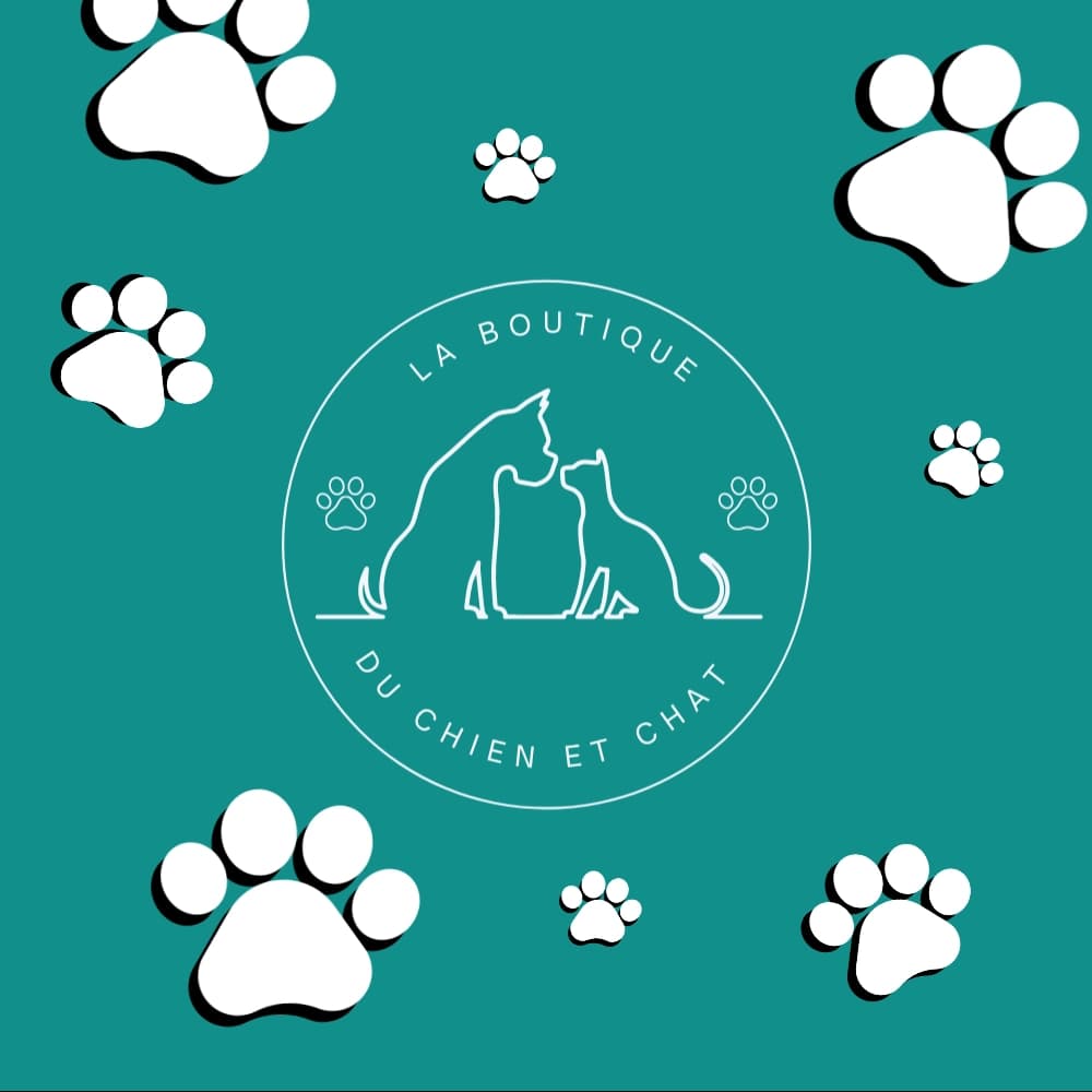 Site vitrine réalisé par l'agence SEO et digitale NINETY Digital pour le compte du site, la boutique du chien et du chat