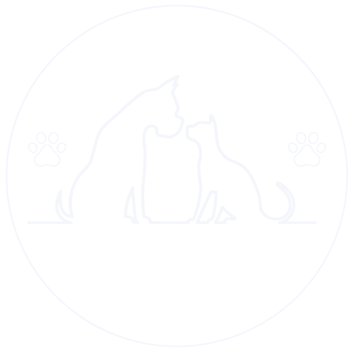 Logo de la boutique en ligne du chien et chat
